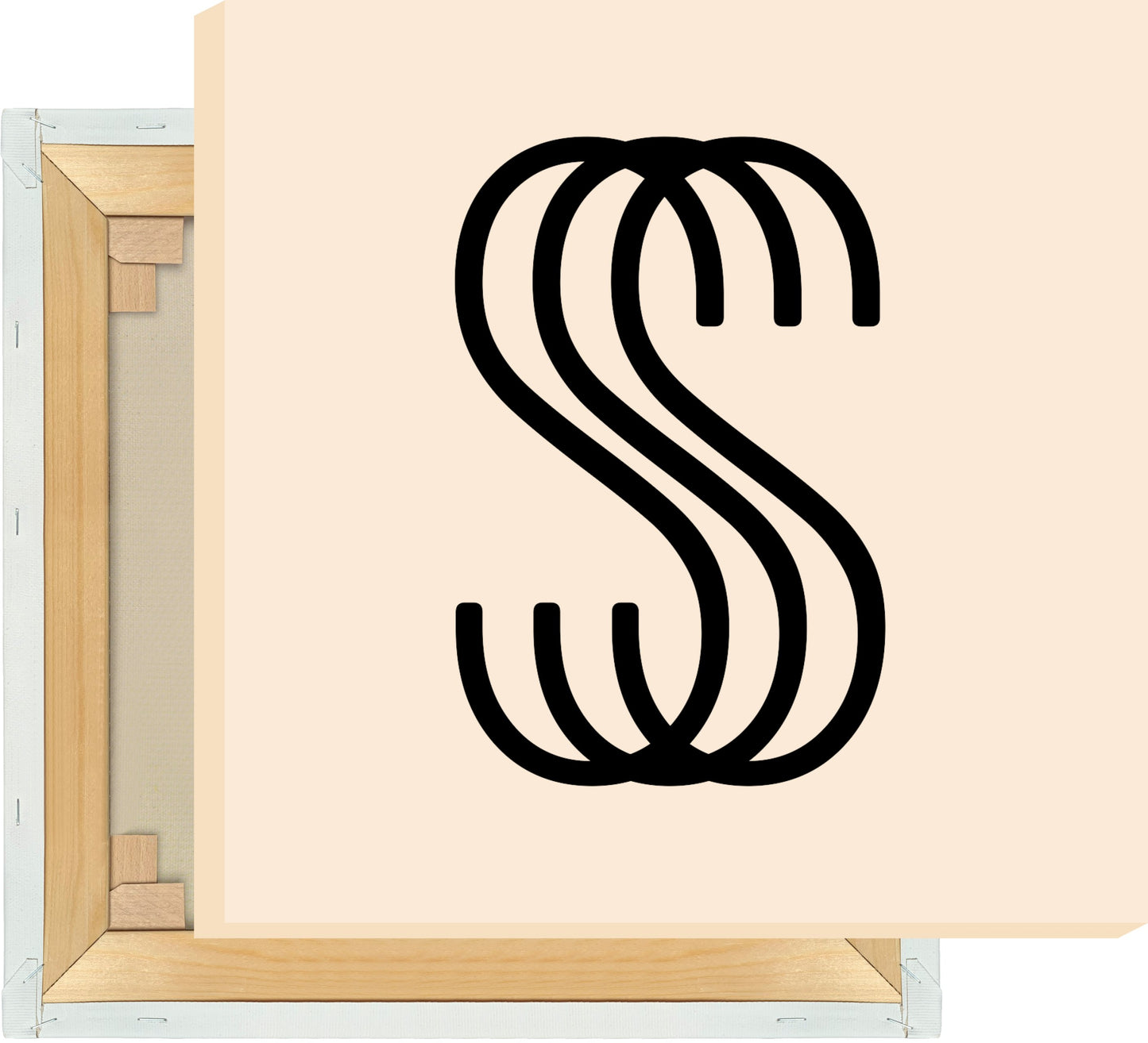 Leinwand Buchstabe S