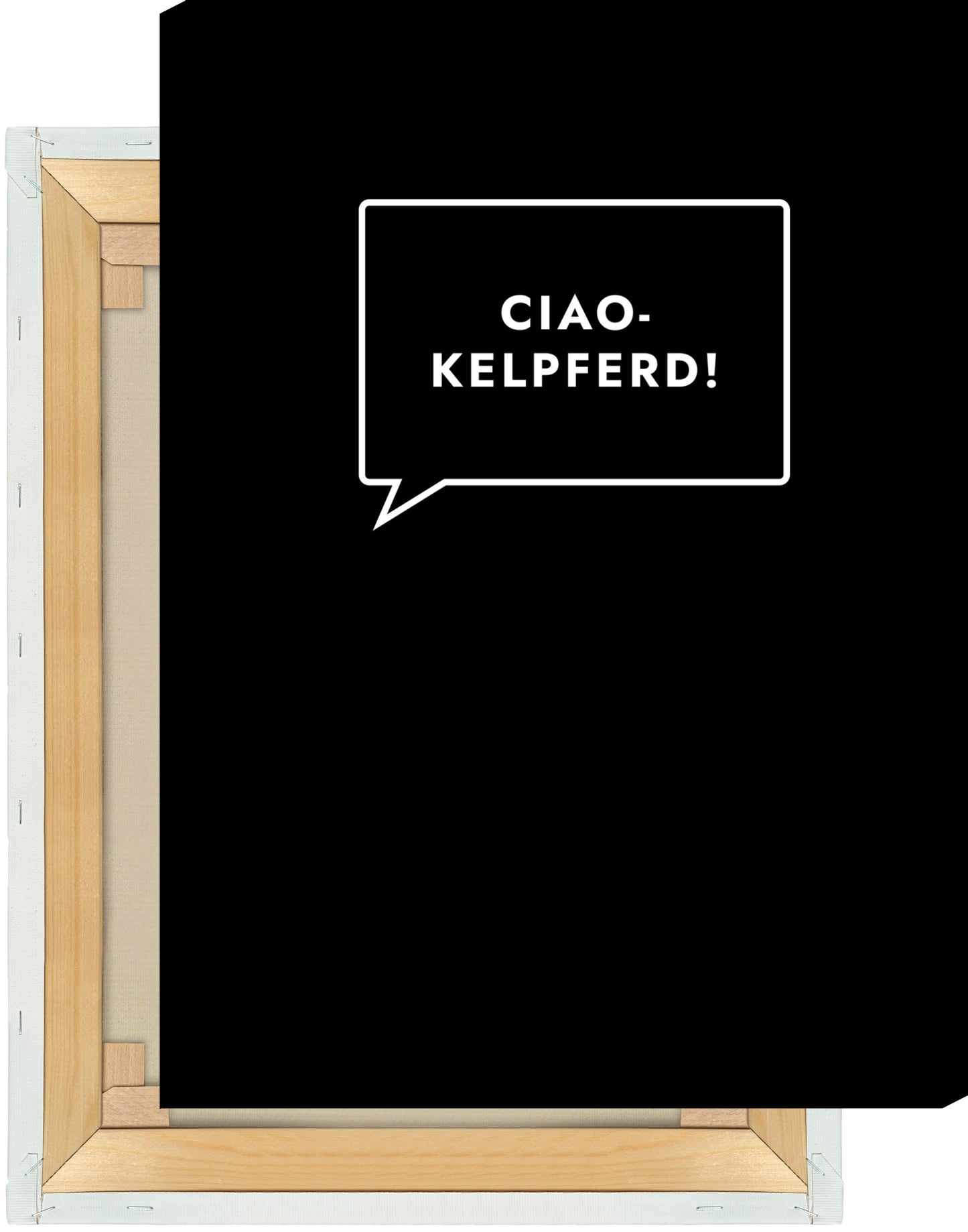 Leinwand Ciaokelpferd!