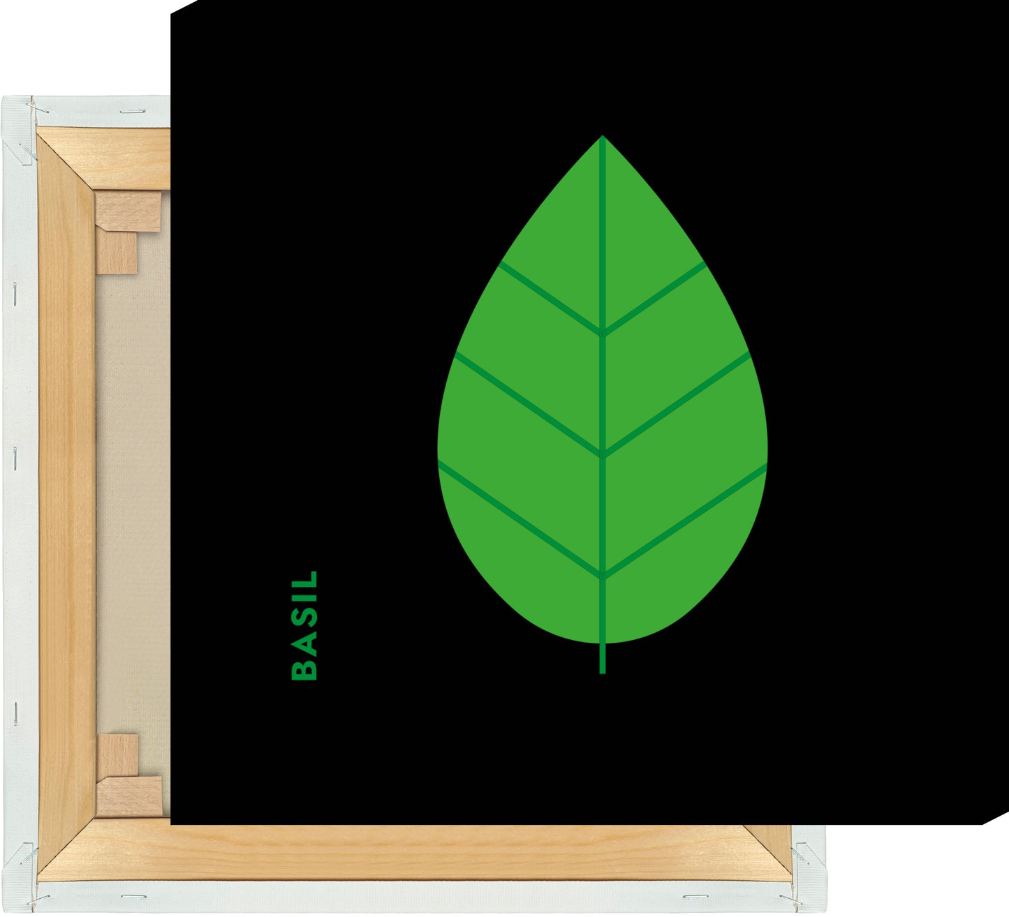 Leinwand Kräuter - Basilikum - Basil