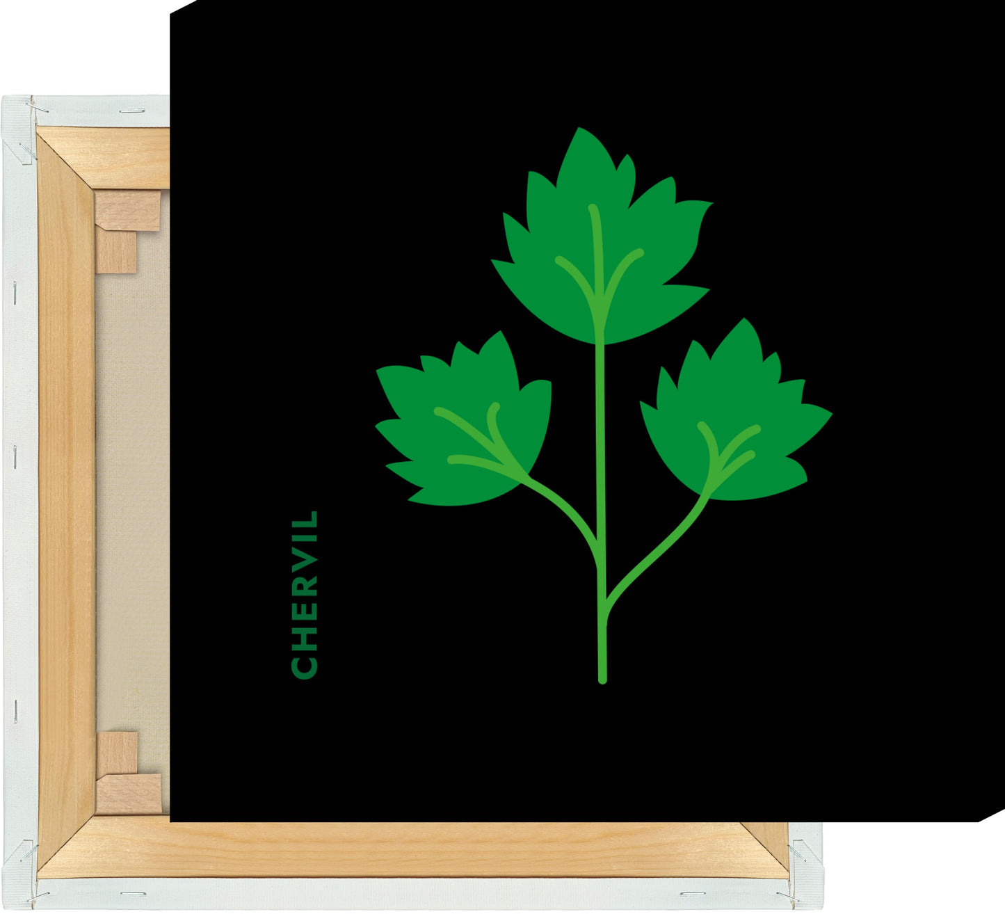 Leinwand Kräuter - Kerbel - Chervil