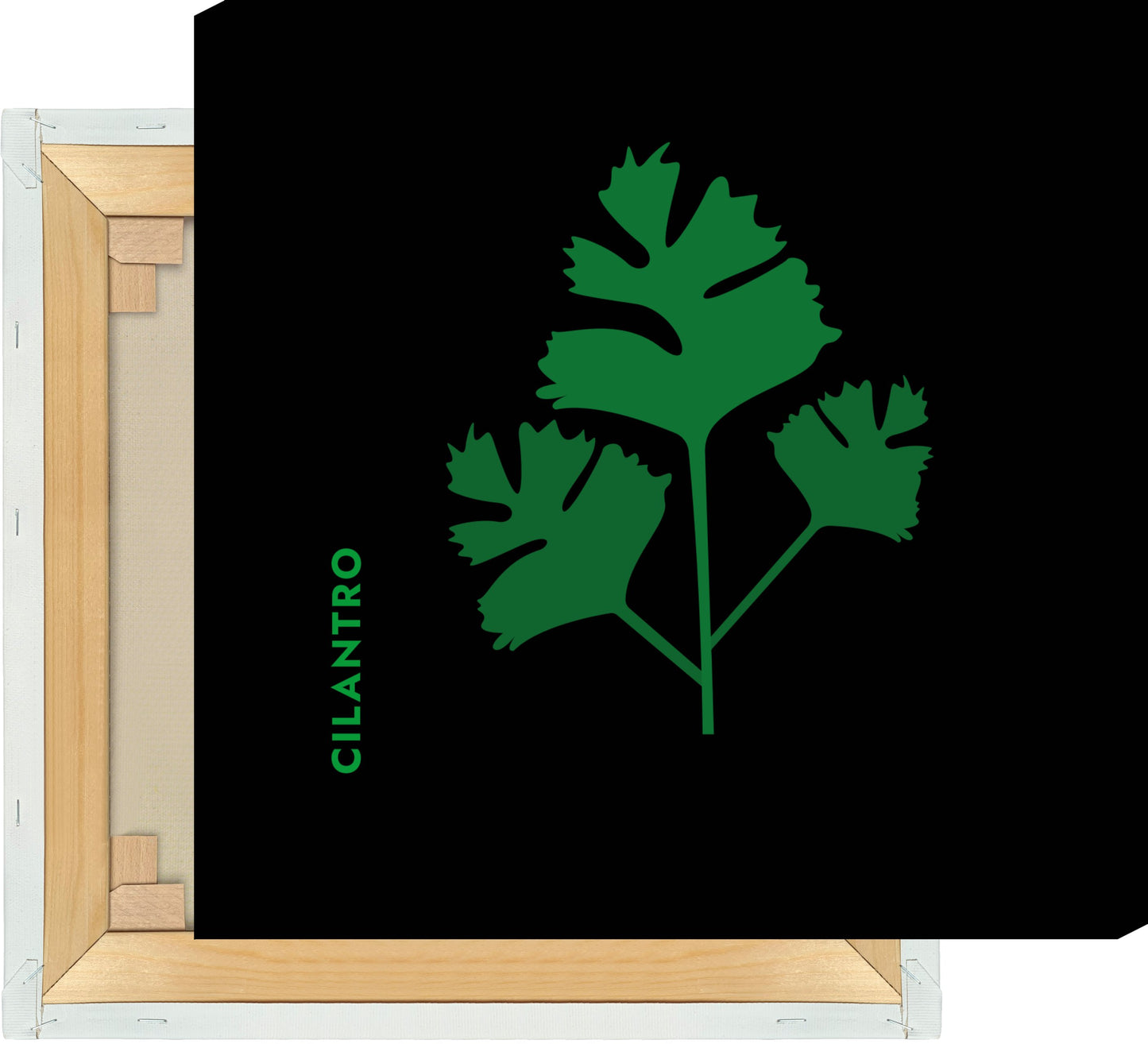Leinwand Kräuter - Koriander - Cilantro