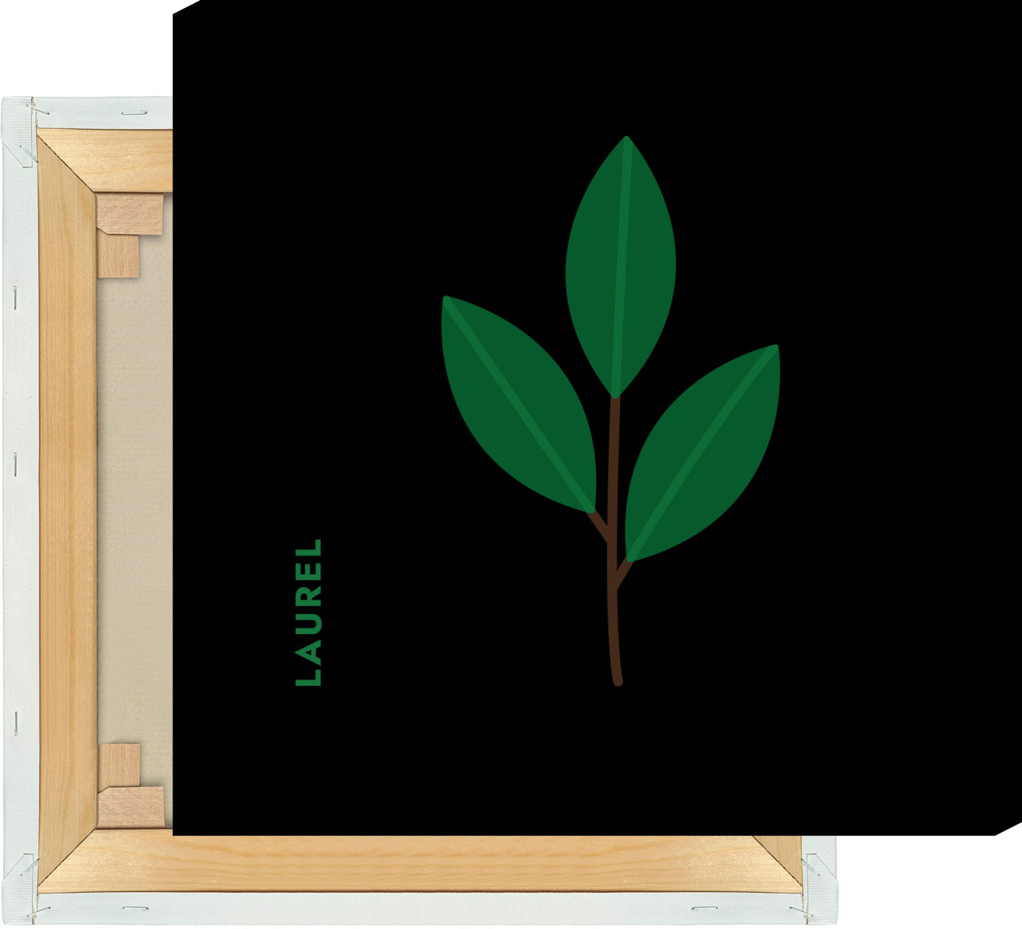 Leinwand Kräuter - Lorbeer - Laurel