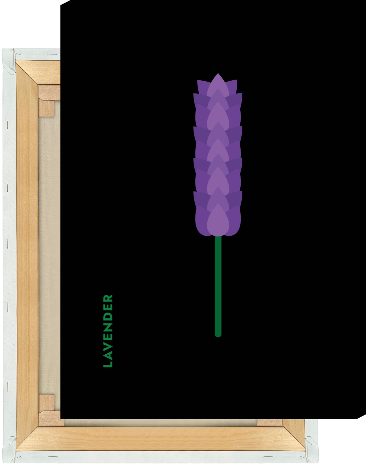 Leinwand Kräuter - Lavendel - Lavender
