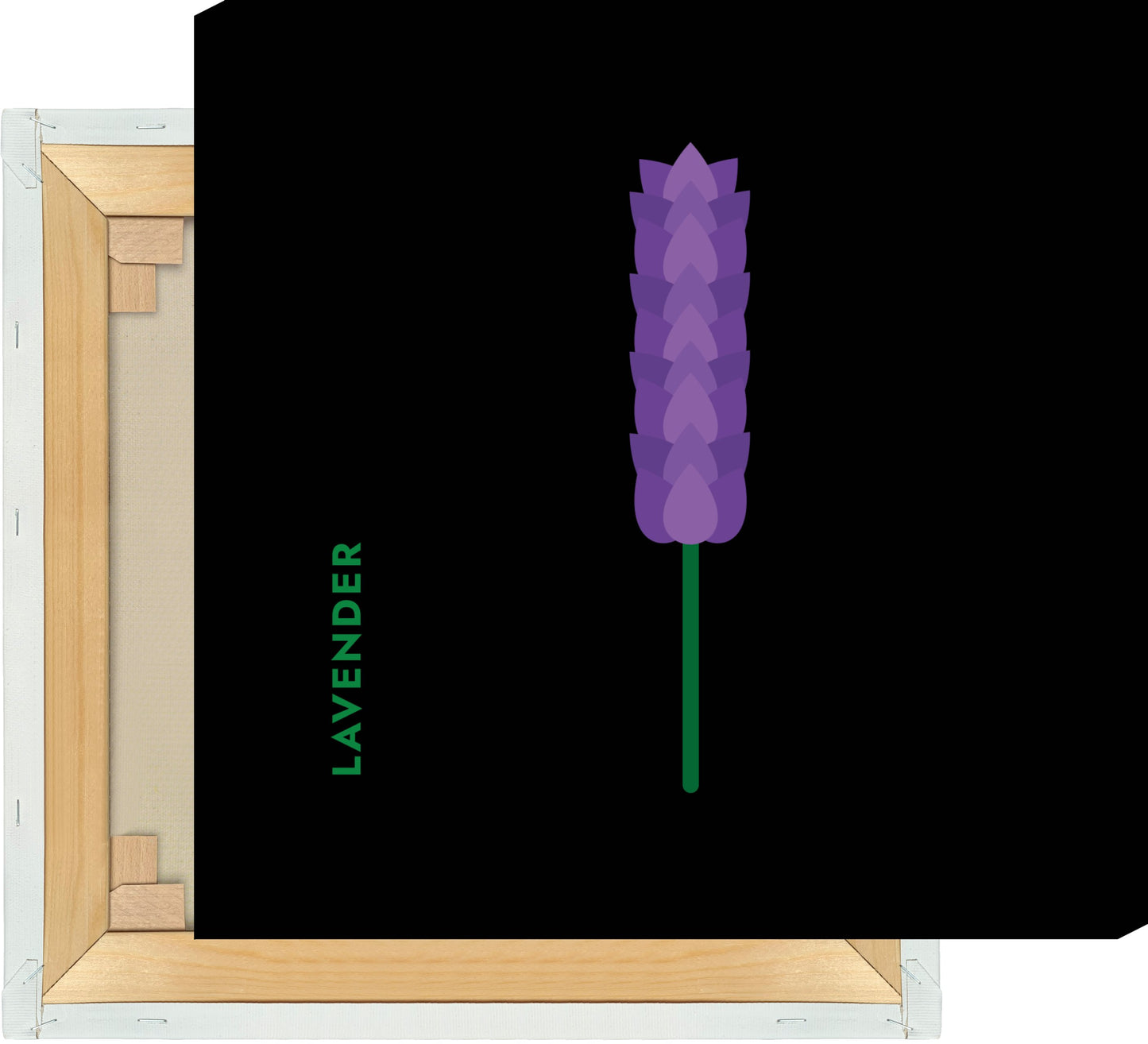 Leinwand Kräuter - Lavendel - Lavender