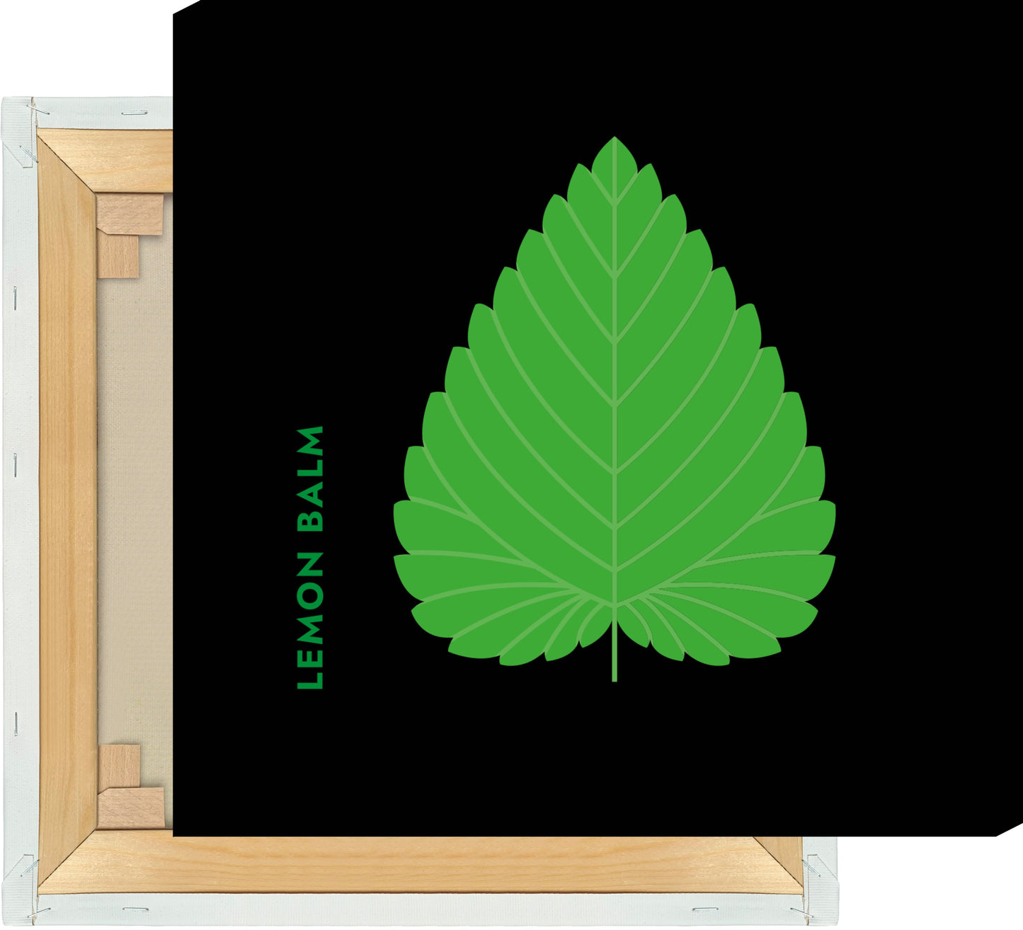 Leinwand Kräuter - Zitronenmelisse - Lemon Balm