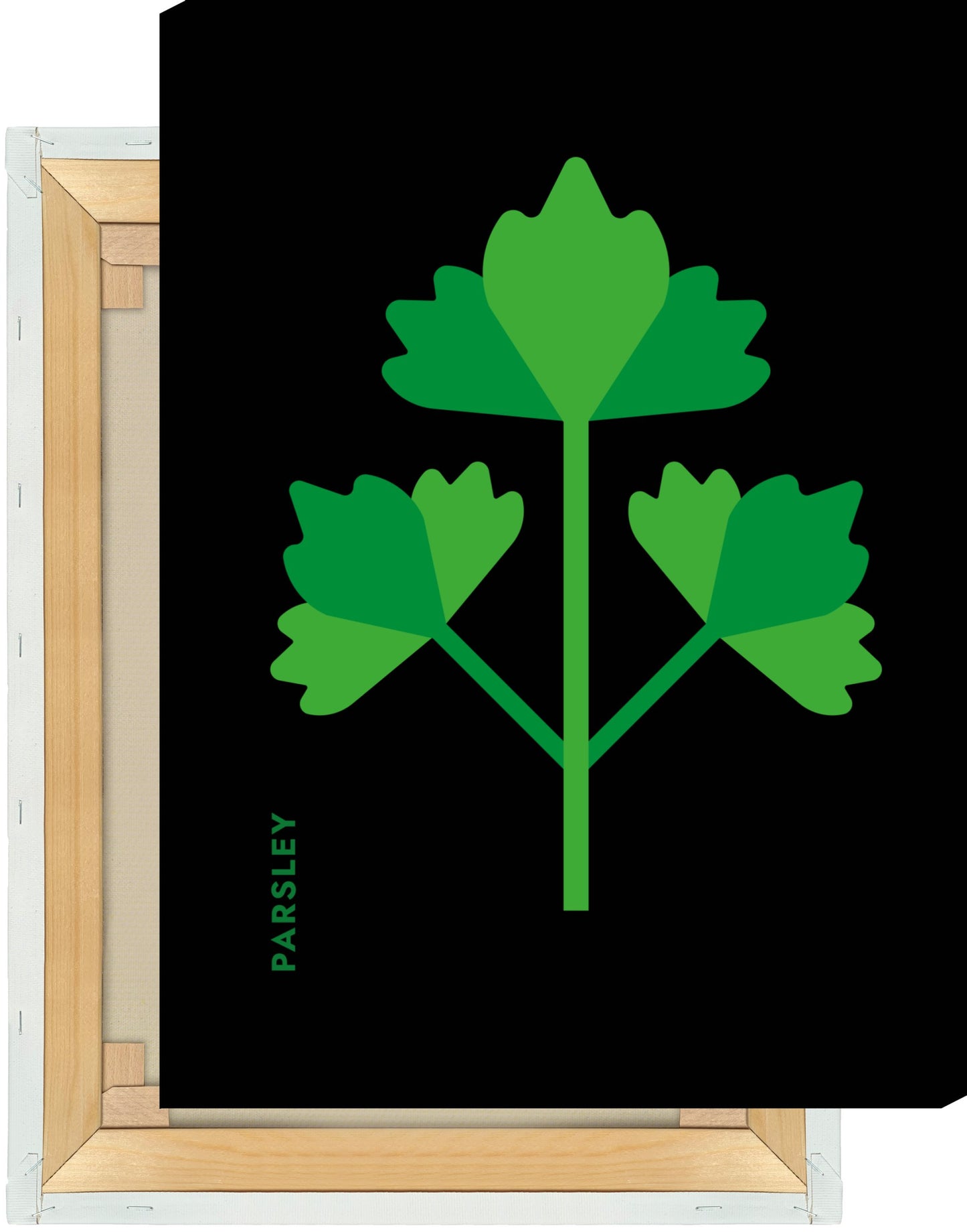 Leinwand Kräuter - Petersilie - Parsley