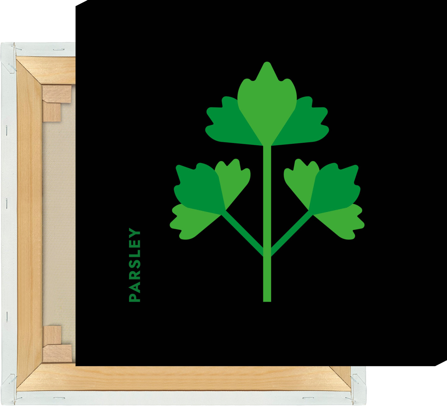 Leinwand Kräuter - Petersilie - Parsley