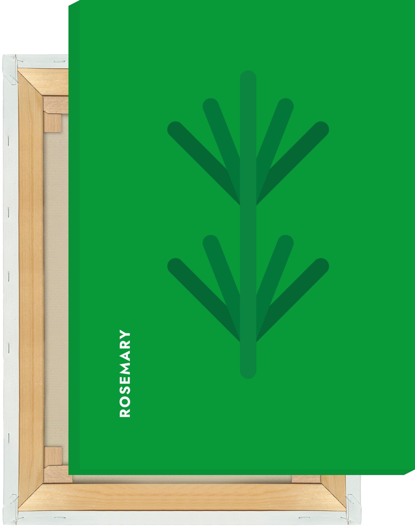 Leinwand Kräuter - Rosmarin - Rosemary