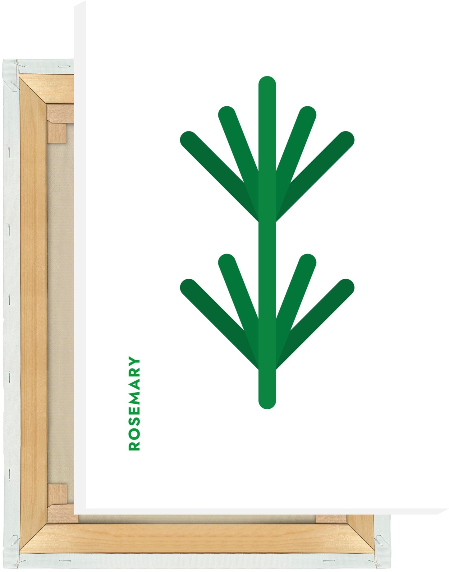 Leinwand Kräuter - Rosmarin - Rosemary