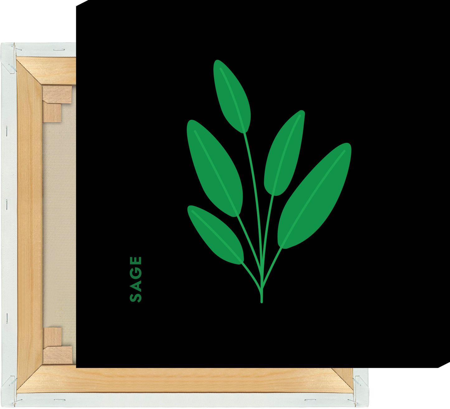 Leinwand Kräuter - Salbei - Sage