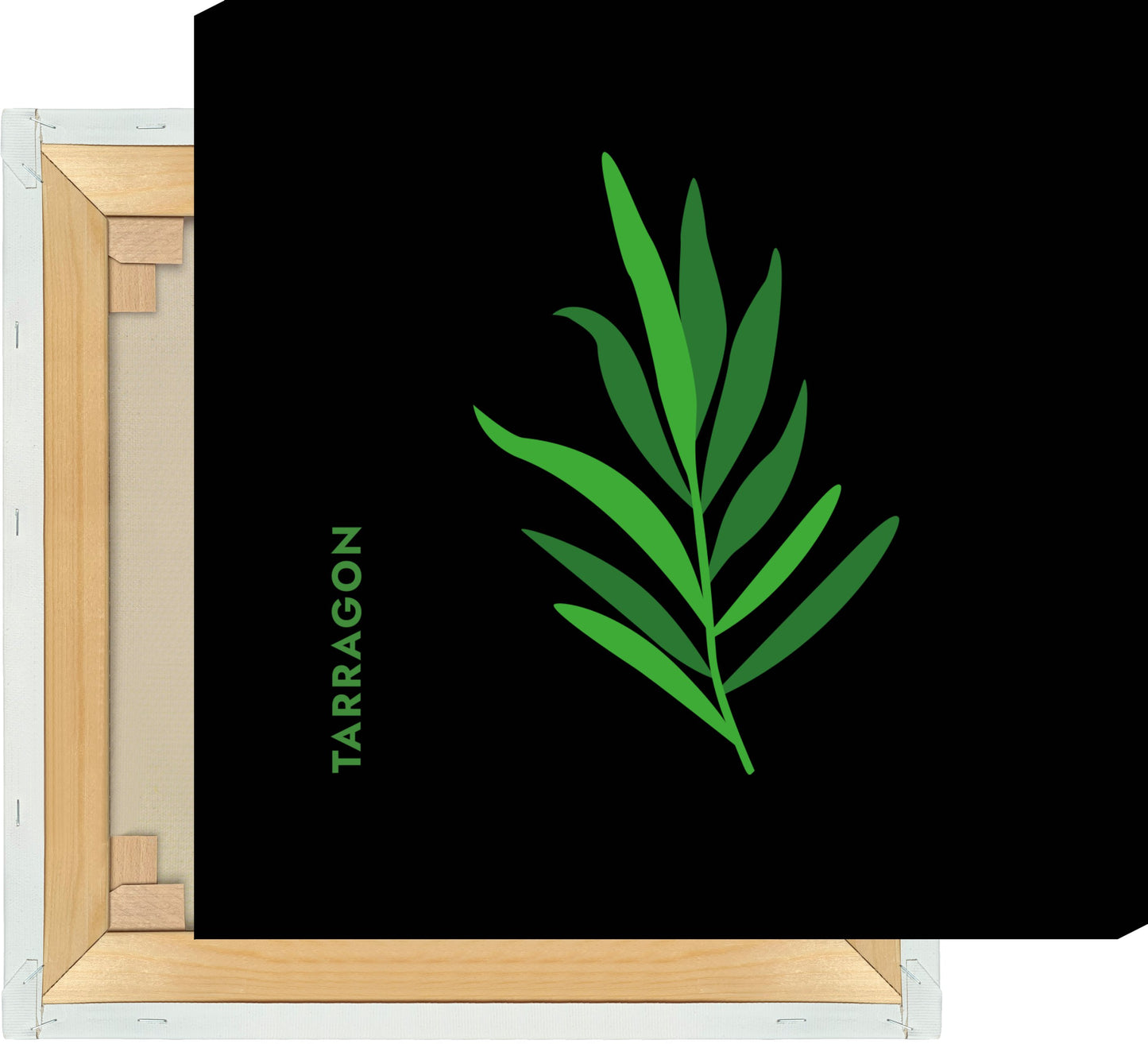 Leinwand Kräuter - Estragon - Tarragon