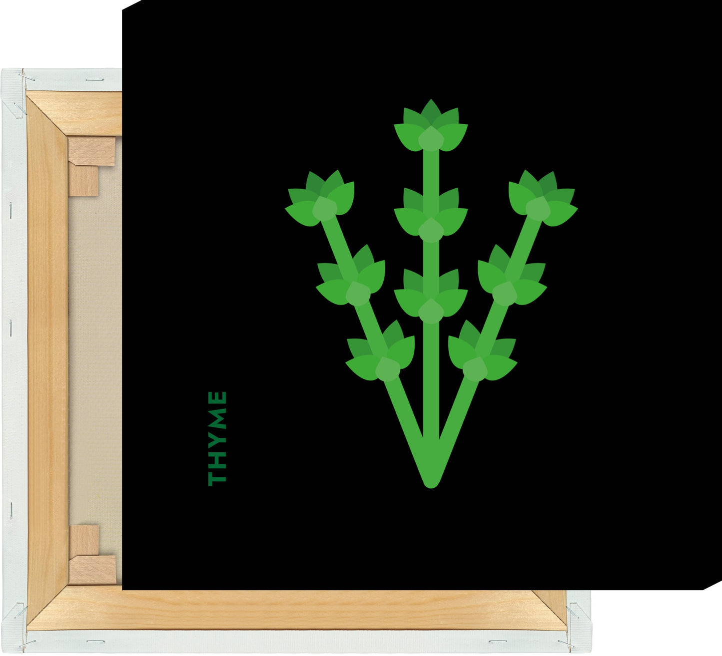 Leinwand Kräuter - Thymian - Thyme