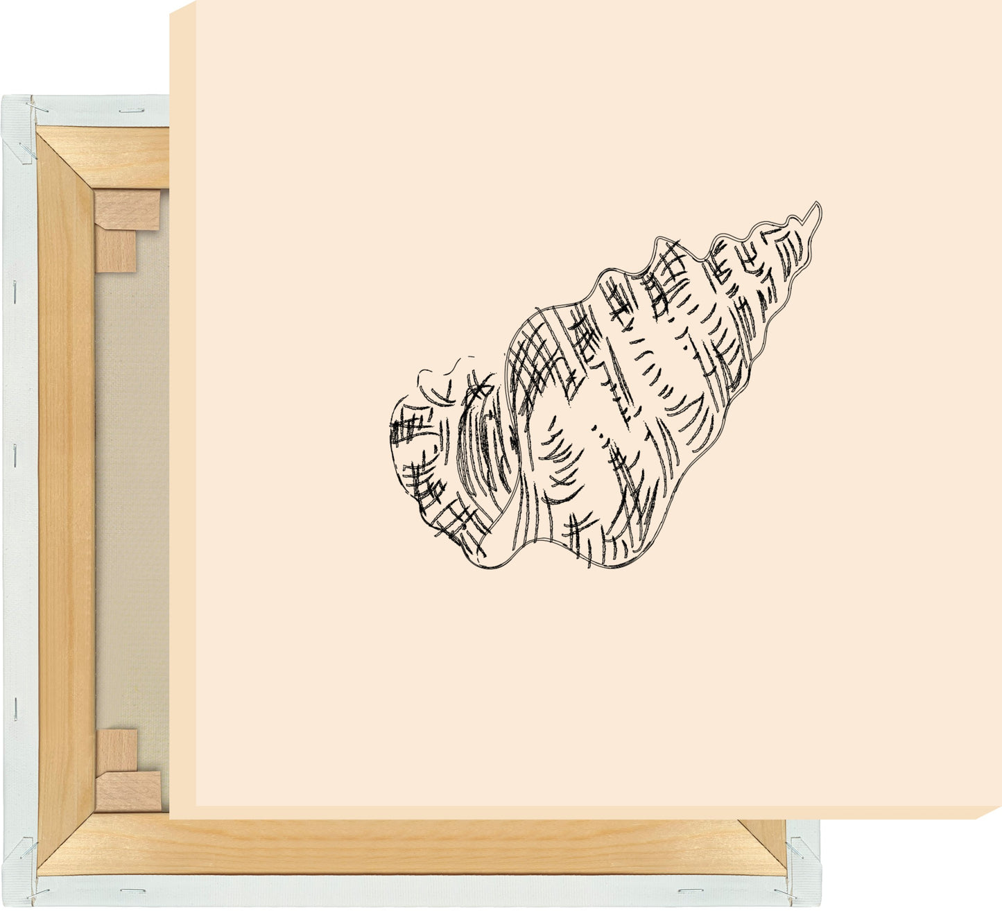 Leinwand Muschel 1