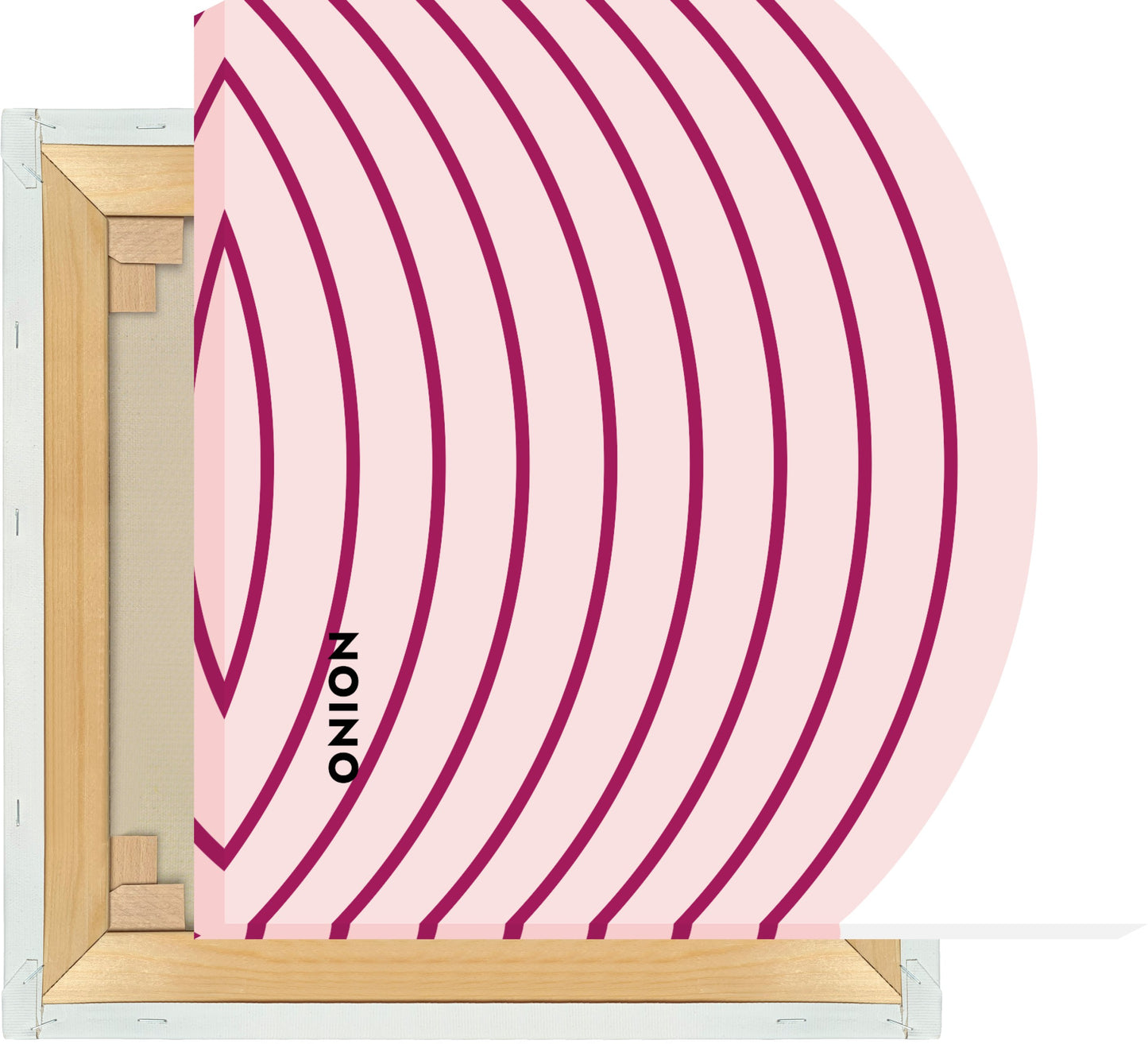 Leinwand Obst & Gemüse - Onion