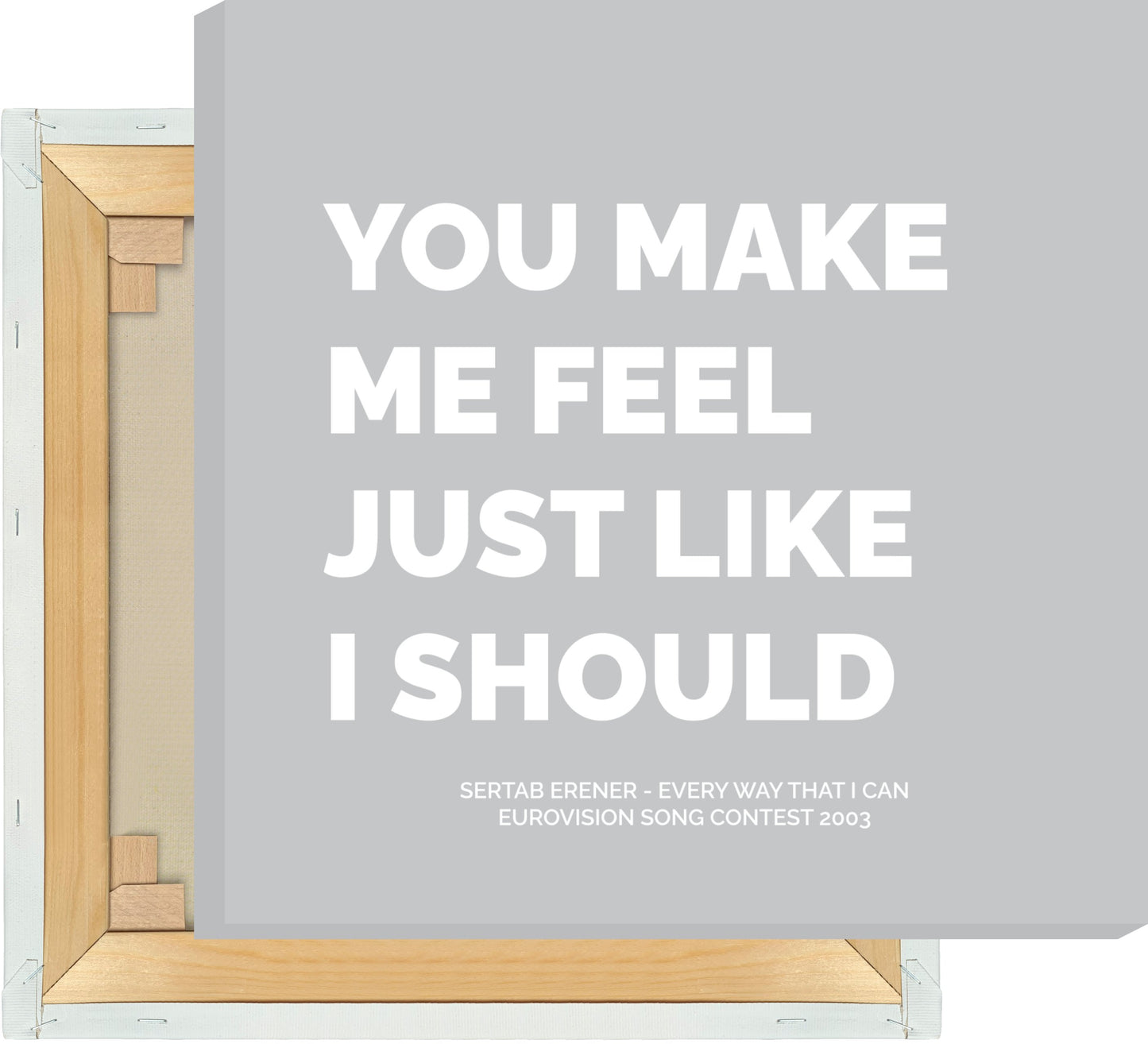 Leinwand Sertab Erener - Every Way That I Can (2003)