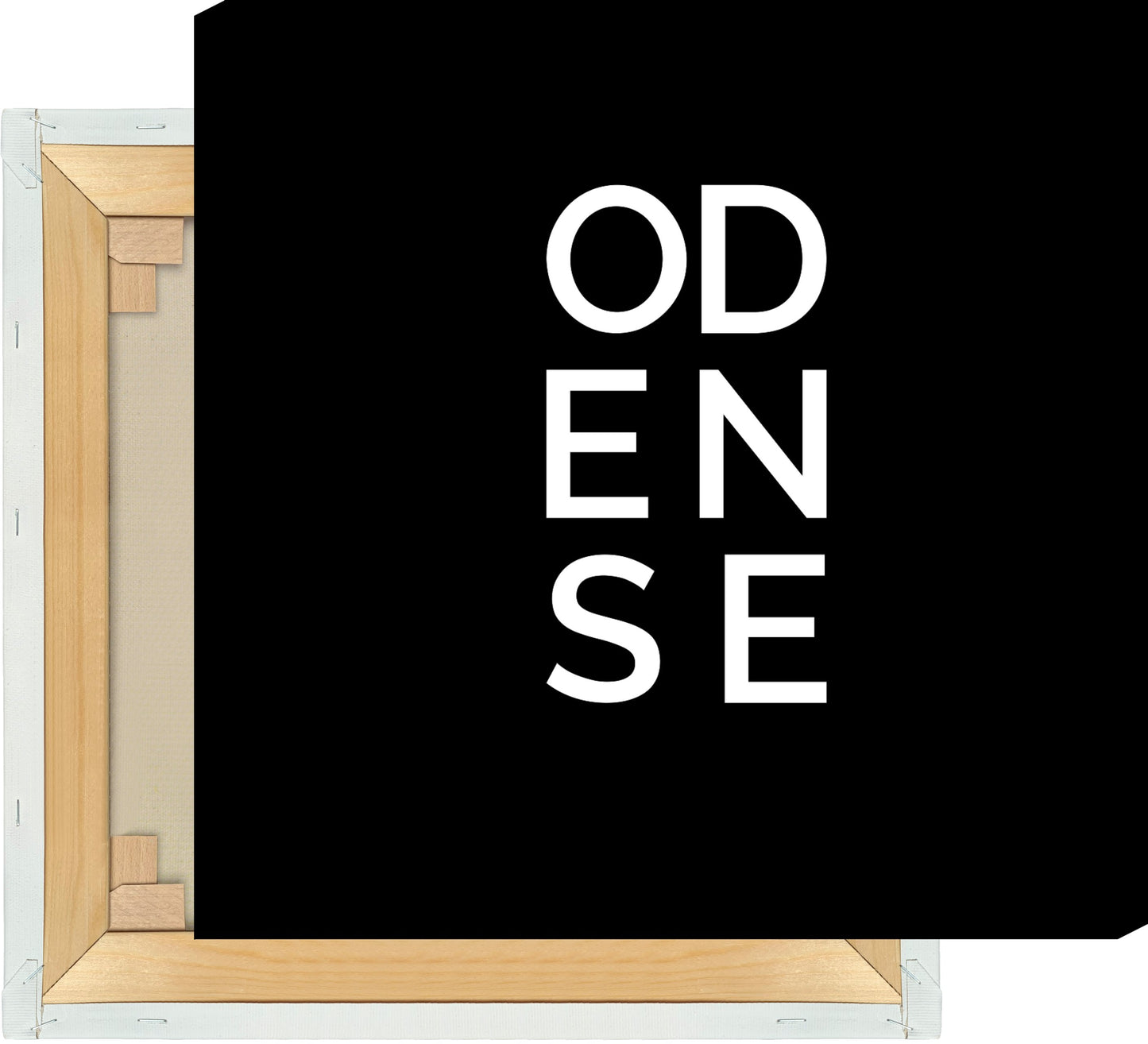 Leinwand Stadt ODENSE