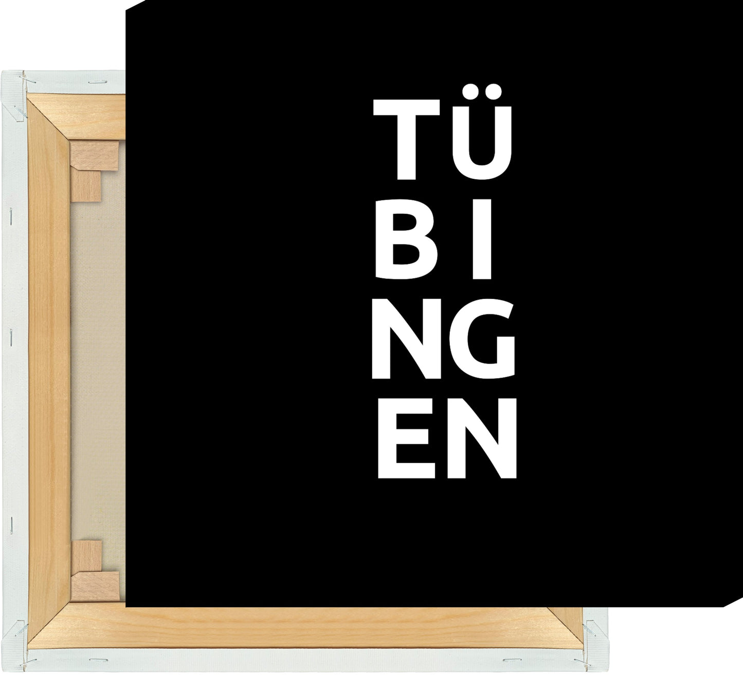 Leinwand Stadt TÜBINGEN