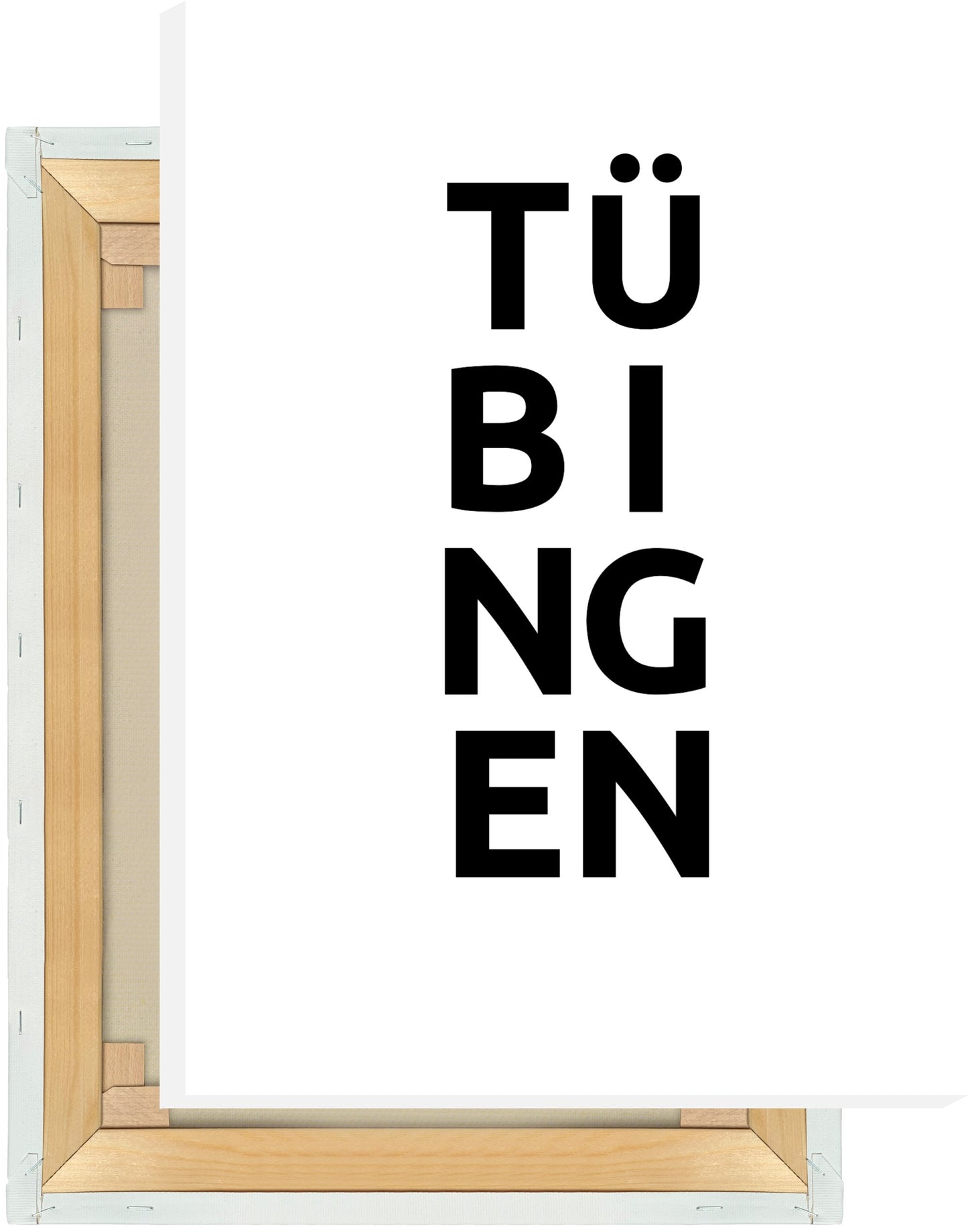 Leinwand Stadt TÜBINGEN