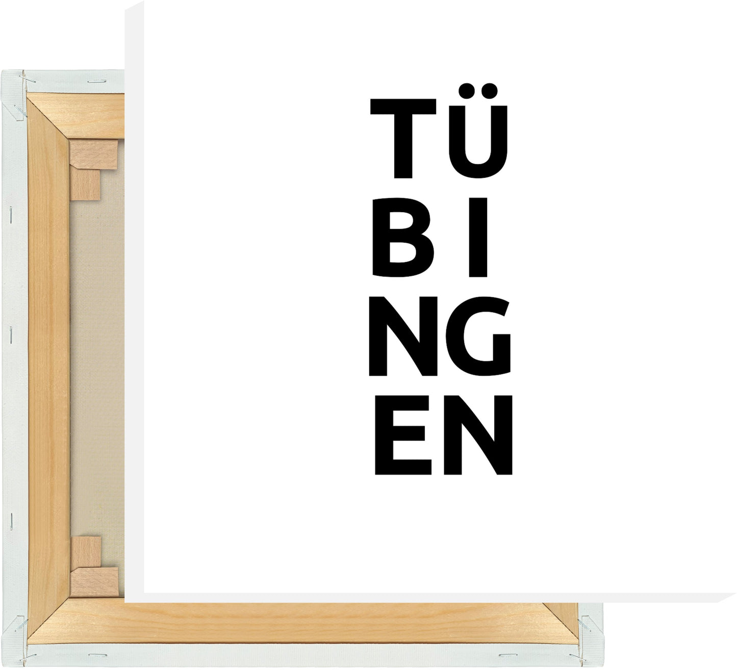 Leinwand Stadt TÜBINGEN