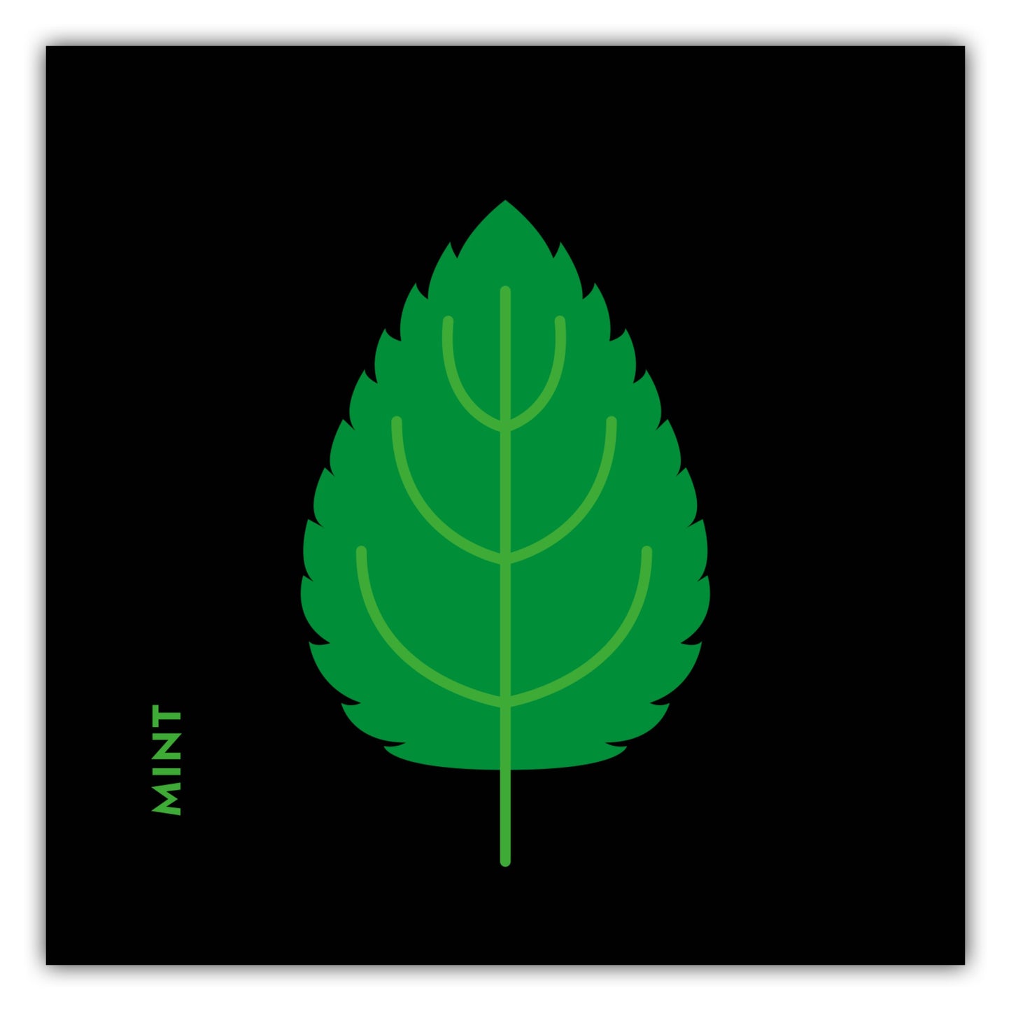 Poster Kräuter - Minze - Mint