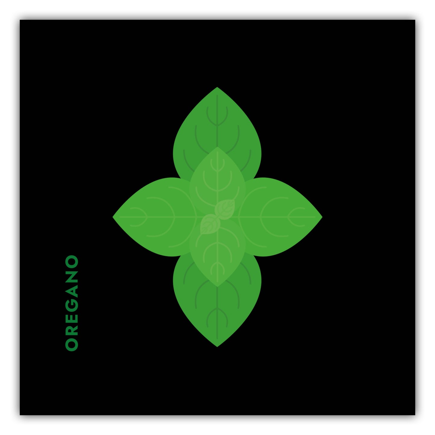 Poster Kräuter - Oregano