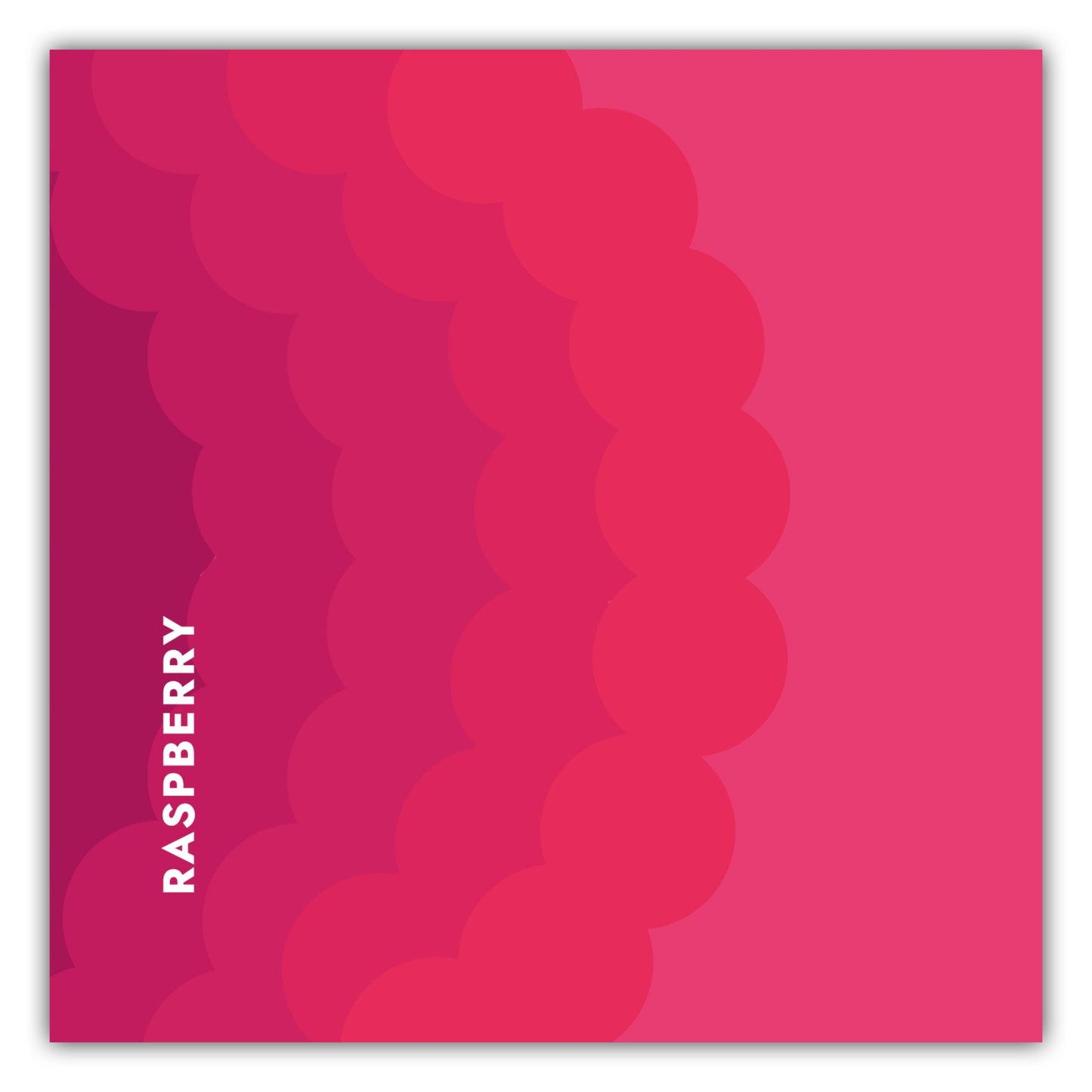 Poster Obst & Gemüse - Raspberry