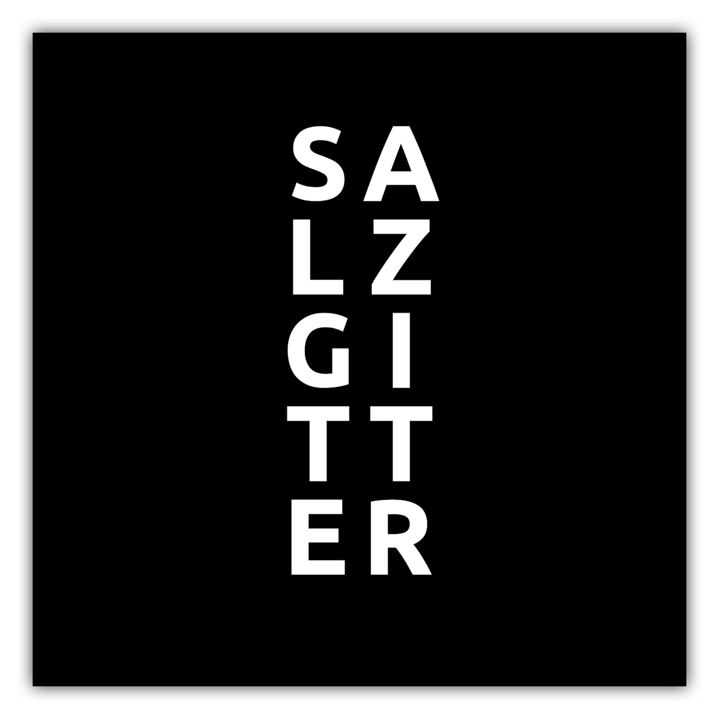 Poster Stadt SALZGITTER