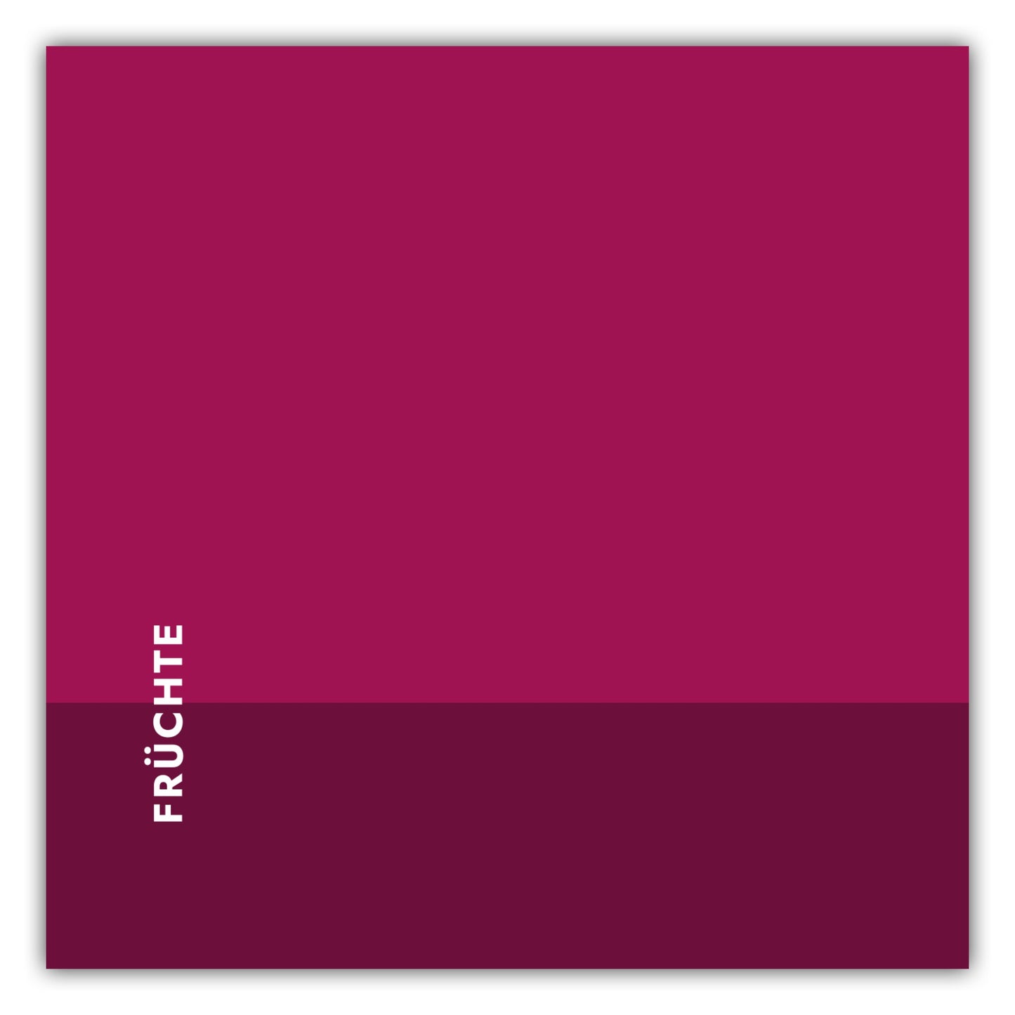 Poster Tee - Früchte