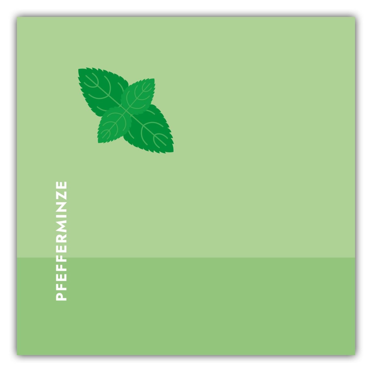 Poster Tee - Pfefferminze