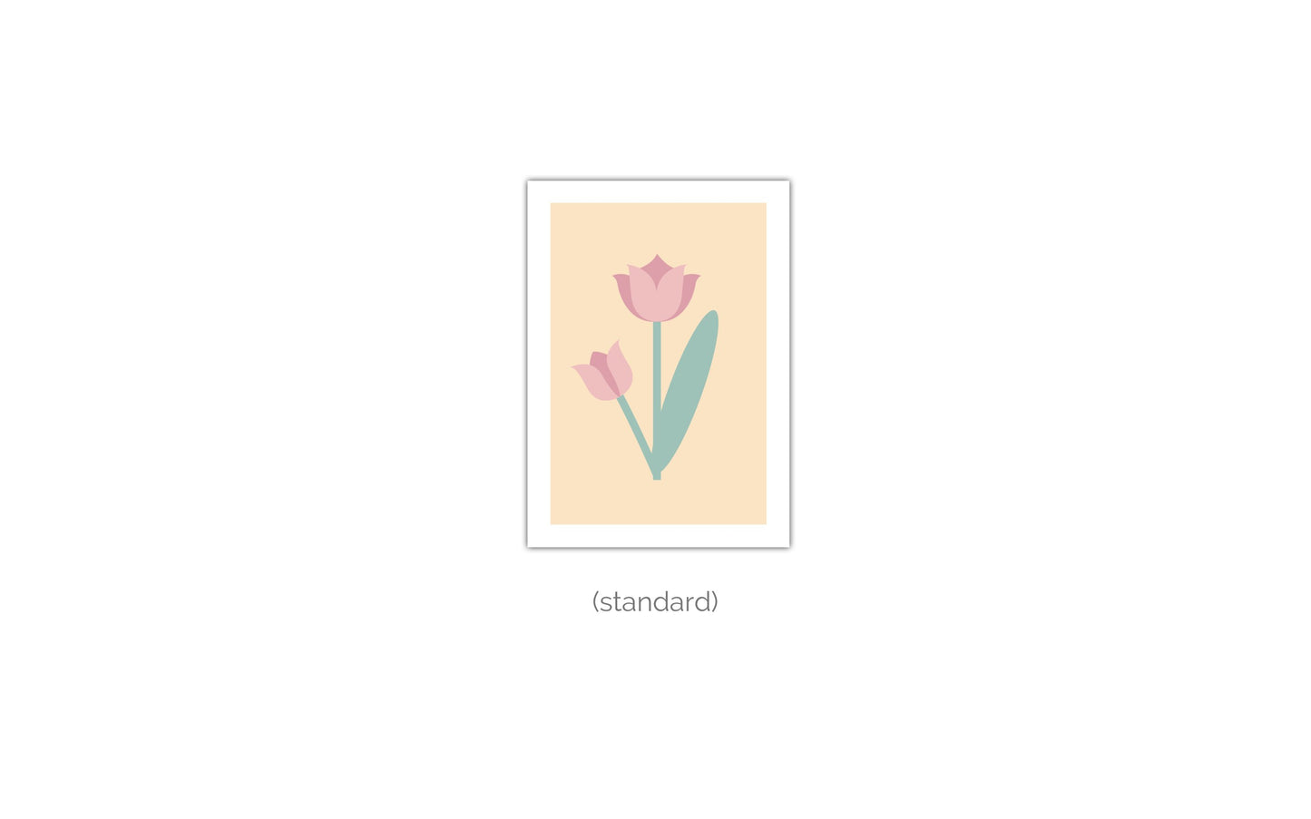 Poster Tulpe Rosa - Dreamy Dutch Collection