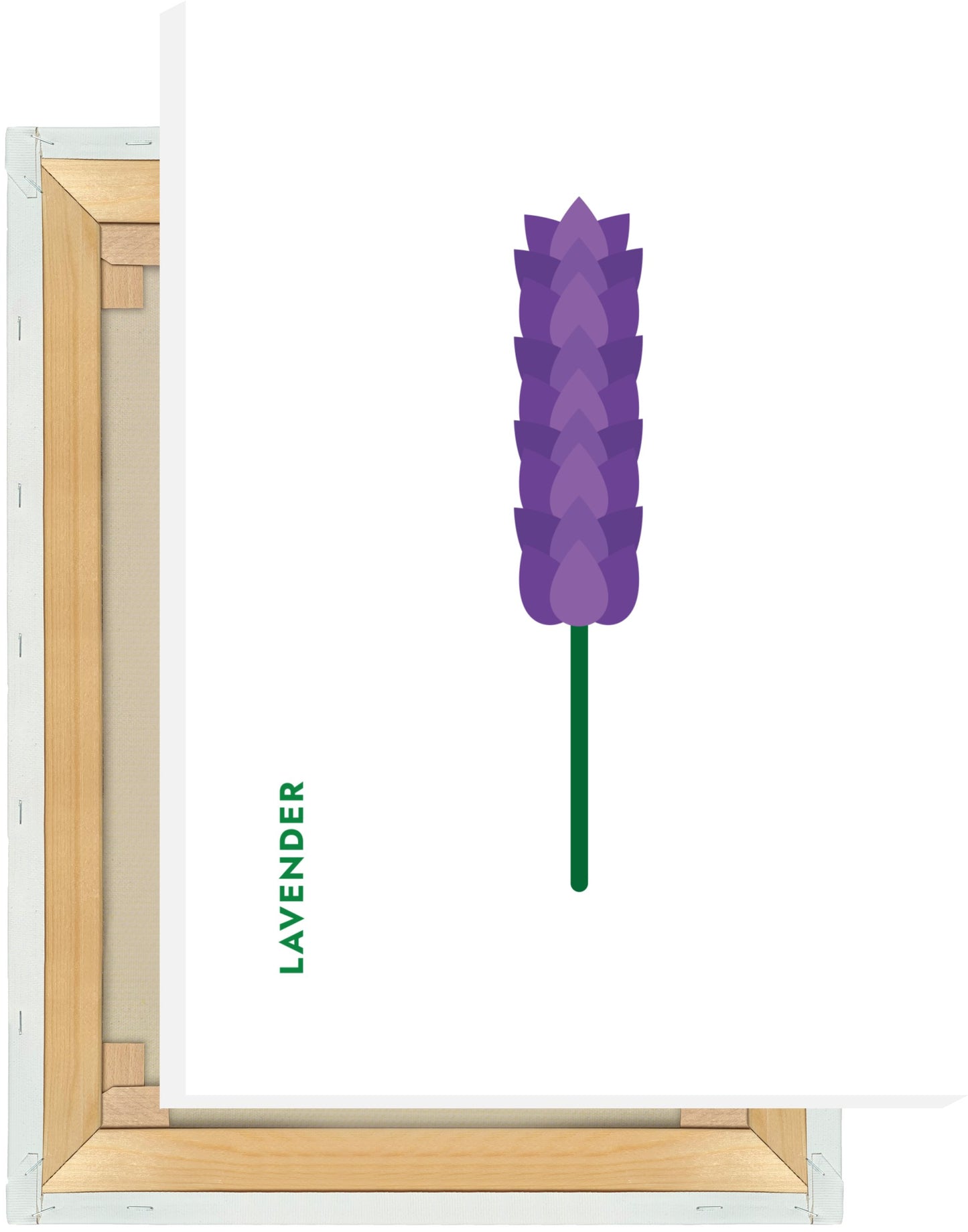 Leinwand Kräuter - Lavendel - Lavender