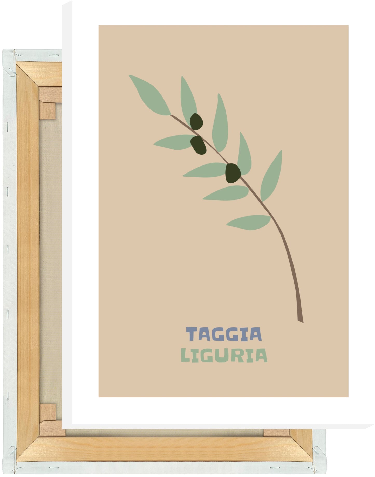 Leinwand Oliven - Taggia Liguria - La Dolce Vita Collection