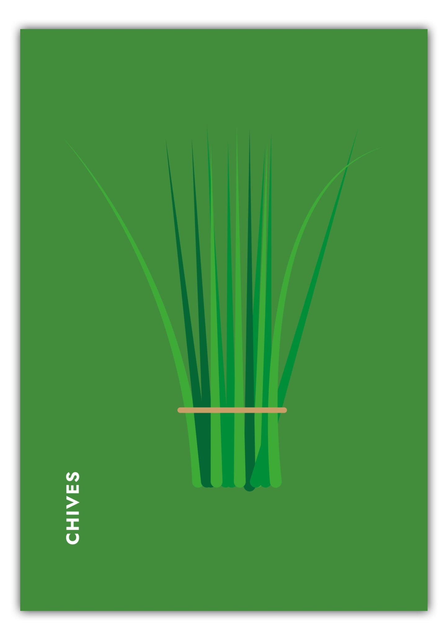 Poster Kräuter - Schnittlauch - Chives