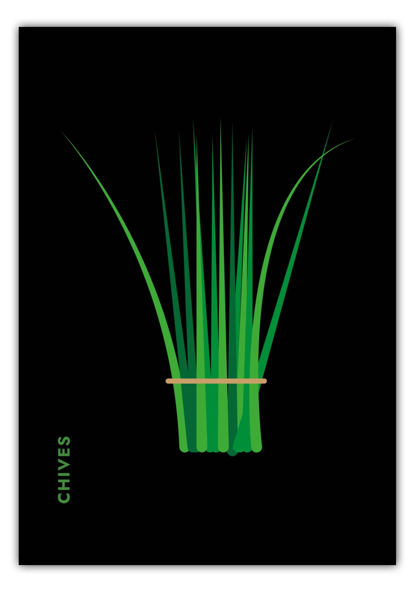 Poster Kräuter - Schnittlauch - Chives