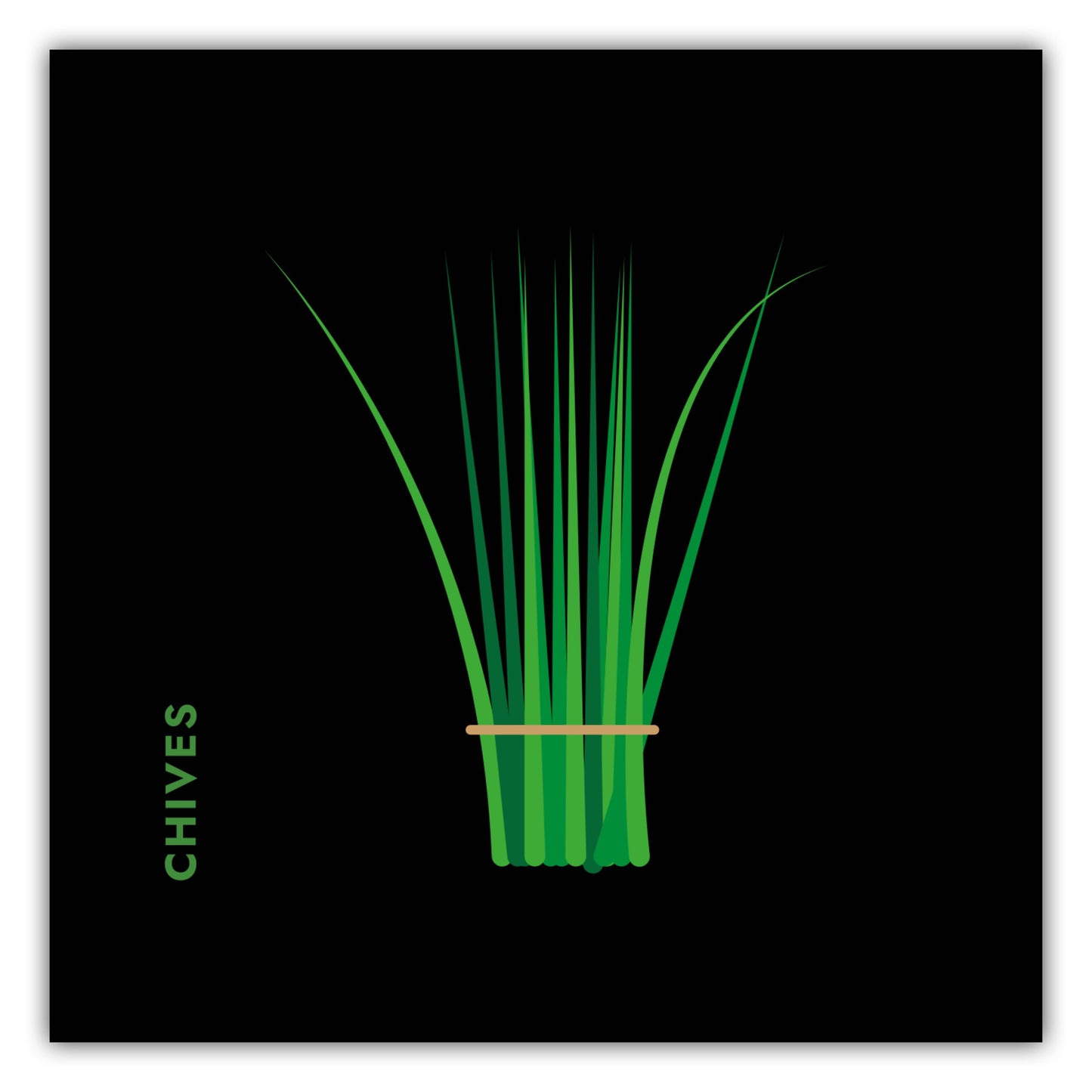 Poster Kräuter - Schnittlauch - Chives