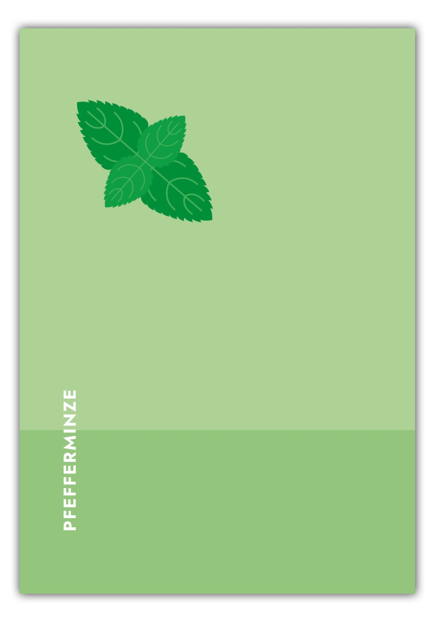 Poster Tee - Pfefferminze